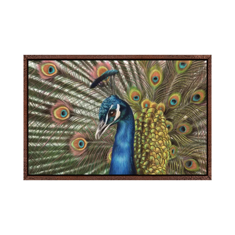 Peacock by Richard Macwee - Gallery-Wrapped Canvas Giclée on Canvas, Classic Wood Framed, 152.5 cm H x 101.5 cm W
