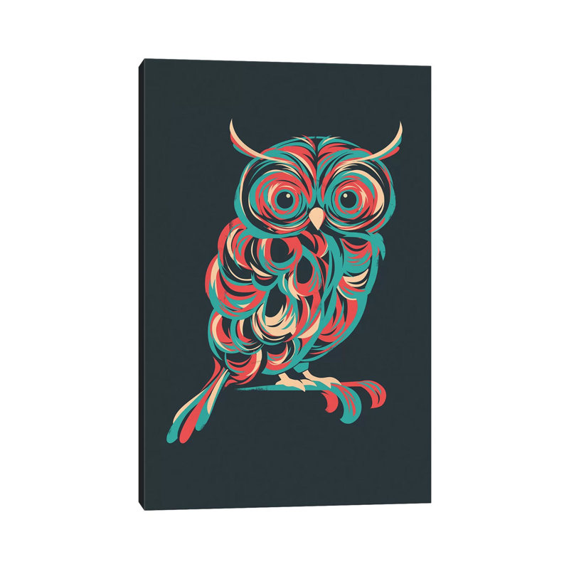 Night Owl by Jay Fleck - Wrapped Canvas Print, 30.48cm H x 20.32cm W