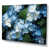 Toile tendue