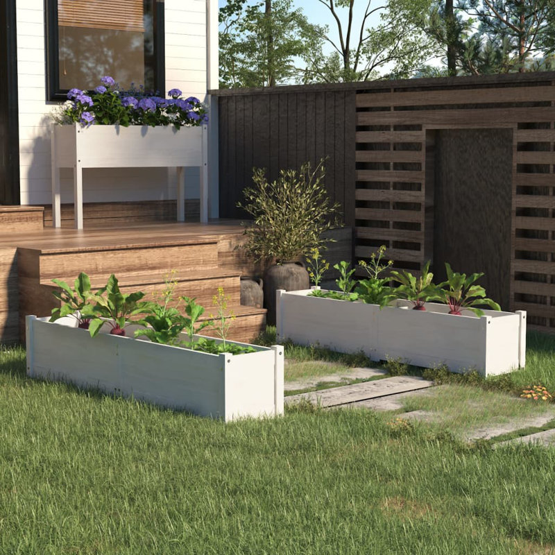 Red Barrel Studio Garden Raised Beds 2 Pcs White 59.1"X12.2"X12.2" Solid Wood Pine, Blanc
