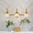 Intosh Iron Armed Sconce-423659276