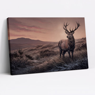 Cerf brun dans un champ herbeux au coucher du soleil - Toile murale d'Halloween