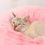 Derwent Cotton Pet Bed-2076413647