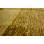 Tapis de la zone en laine 4 pi 9 po x 6 pi 6 po one-of-kind noué la brown Nash