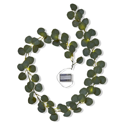 Guirlande Dollar Eucalyptus avec lumières DEL