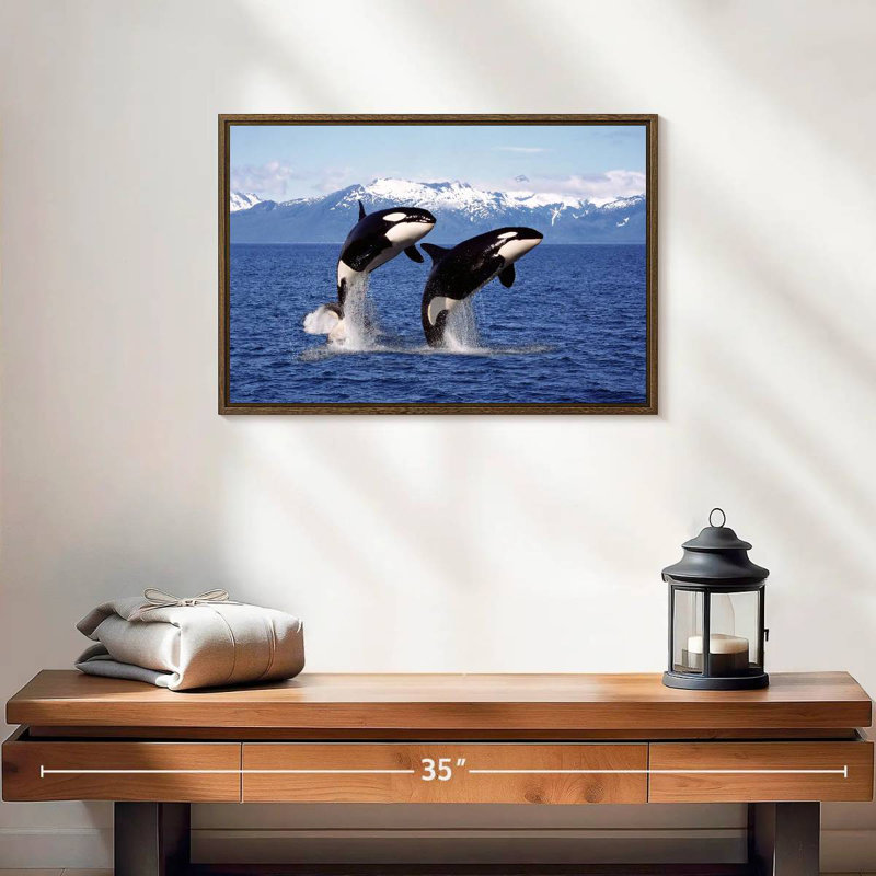 Jumping Couple Orcas, 19" X 13", Floating Frame Walnut