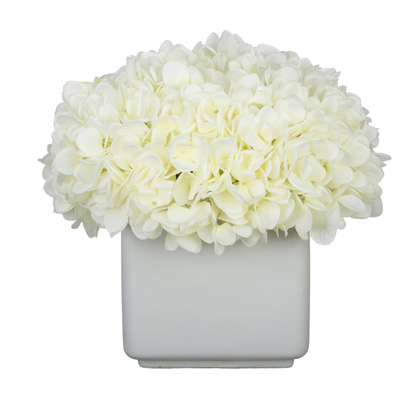 Arrangement de hortensia en gros Cube blanc céramique, blanc