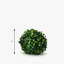 Topiaire buis ball plante-1320063275