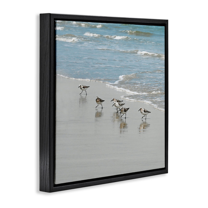 Bécasseaux sur le rivage, Cadre flottant noir de jais, H 25 po x l 25 po