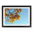 Black Framed selected