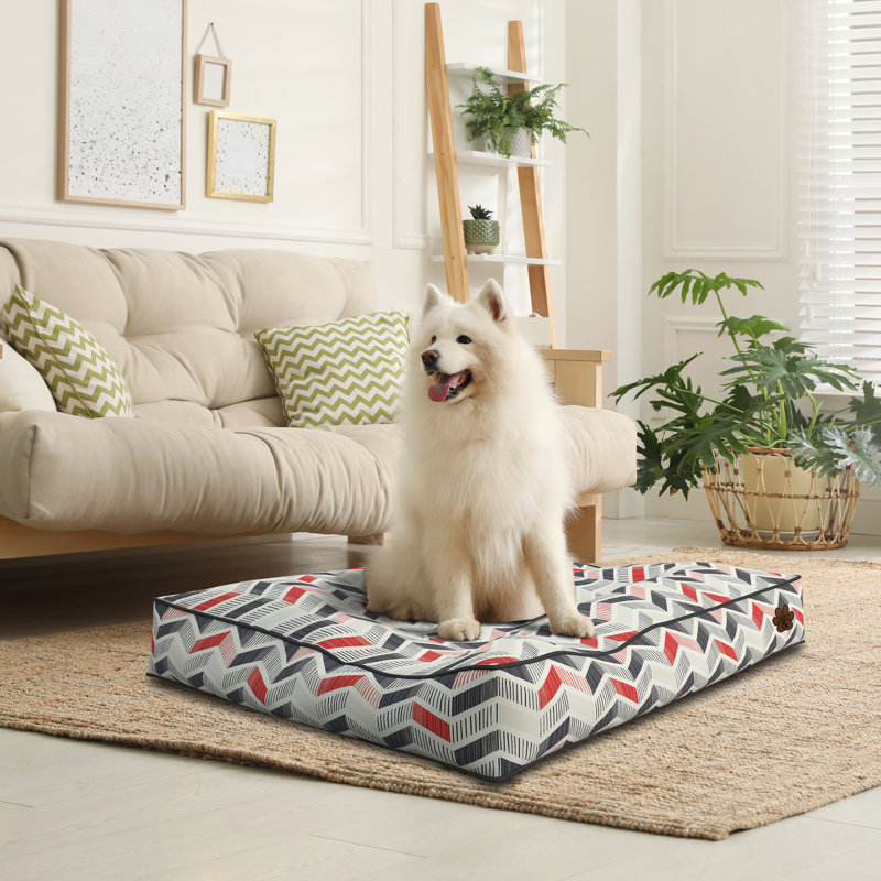 Polyester Pet Bed, Small (68.6cm W x 50.8cm D x 10.2cm H)
