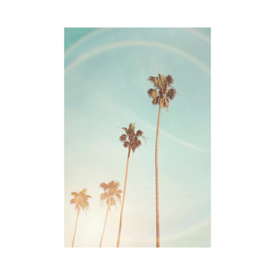 Sunny Palm Trees by Sisi And Seb - Wrapped Canvas Photograph