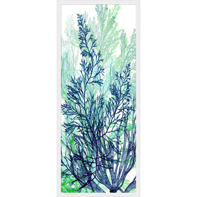 Coral Panel 1 Print