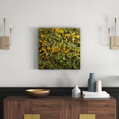 Karolis Janulis - Wrapped Canvas Print