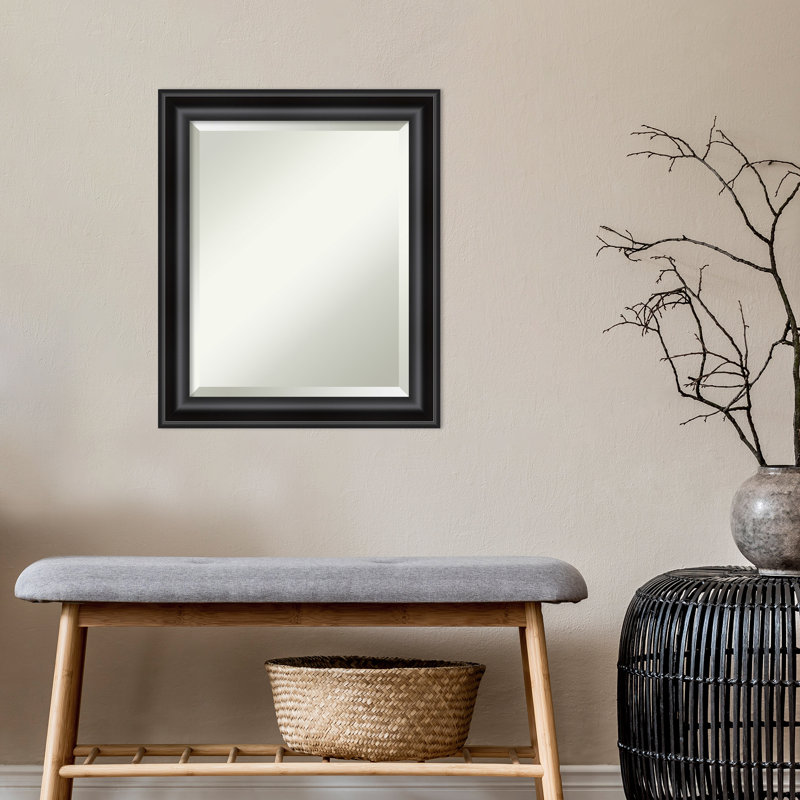 Miroir d'appoint mural en plastique Churchton, 24 po x 20 po