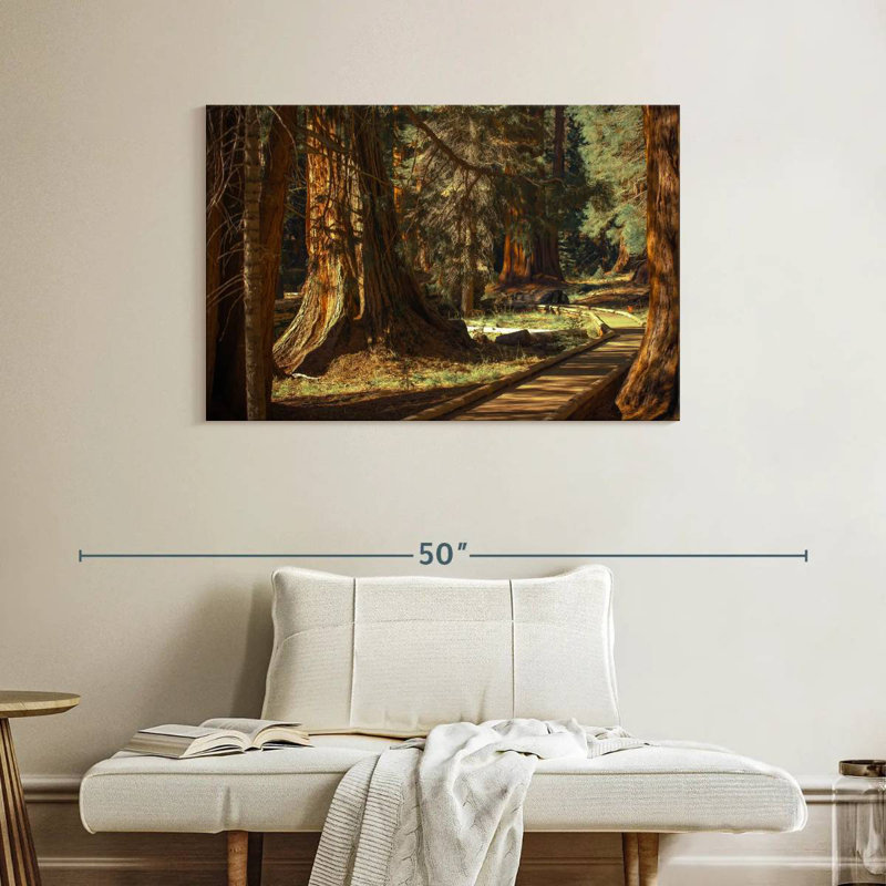Harnek Sequoia Forest