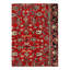Oriental Area Rug in Red