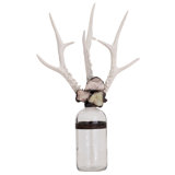 Antler Handmade Glass Decorative Bottles