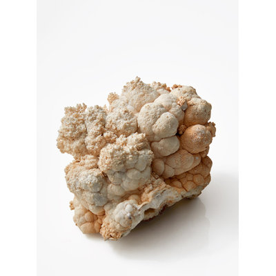 Speedwell Landscape & Nature Figurines & Sculptures