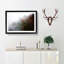 Mist Around the Forest - Picture Frame Graphic Art Print-55733682-55733683