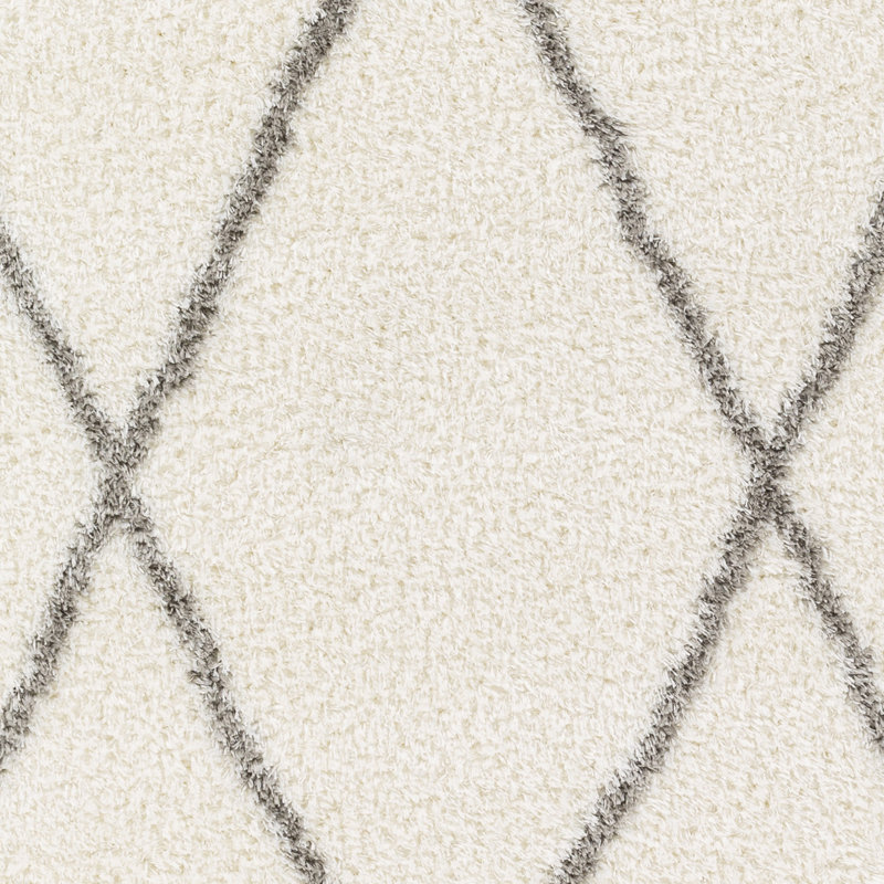 Theia Oriental Area Rug, Rectangle 160 x 213cm