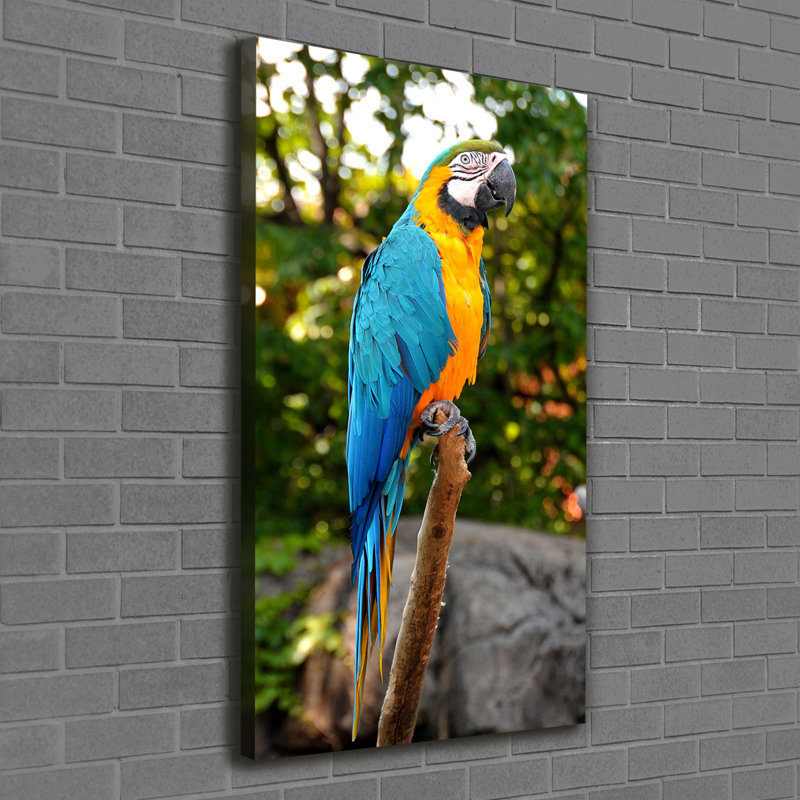 Ara Parrot - Wrapped Canvas Print