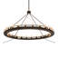 24 - Light Chandelier