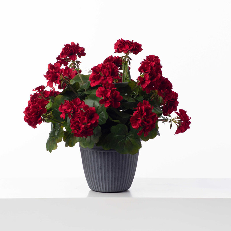 Silk Geranium Arrangement in Pot