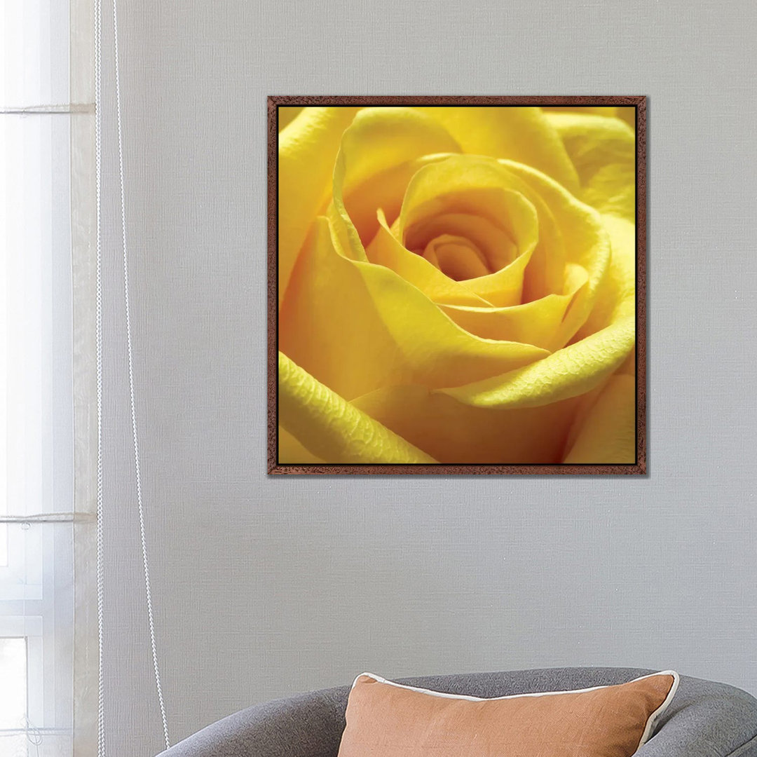 Leinwandbild Yellow Rose von PhotoINC Studio