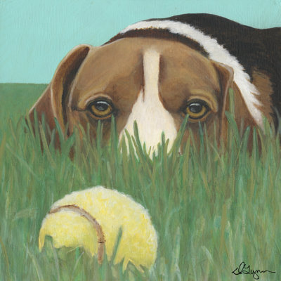 Dlynns Dogs - Sunny