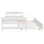 Lit plateforme de petite taille avec lit gigogne simple supplémentaire, fabrication en pin massif, ton blanc