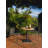 Kelsei Metal Outdoor Lounge Chair