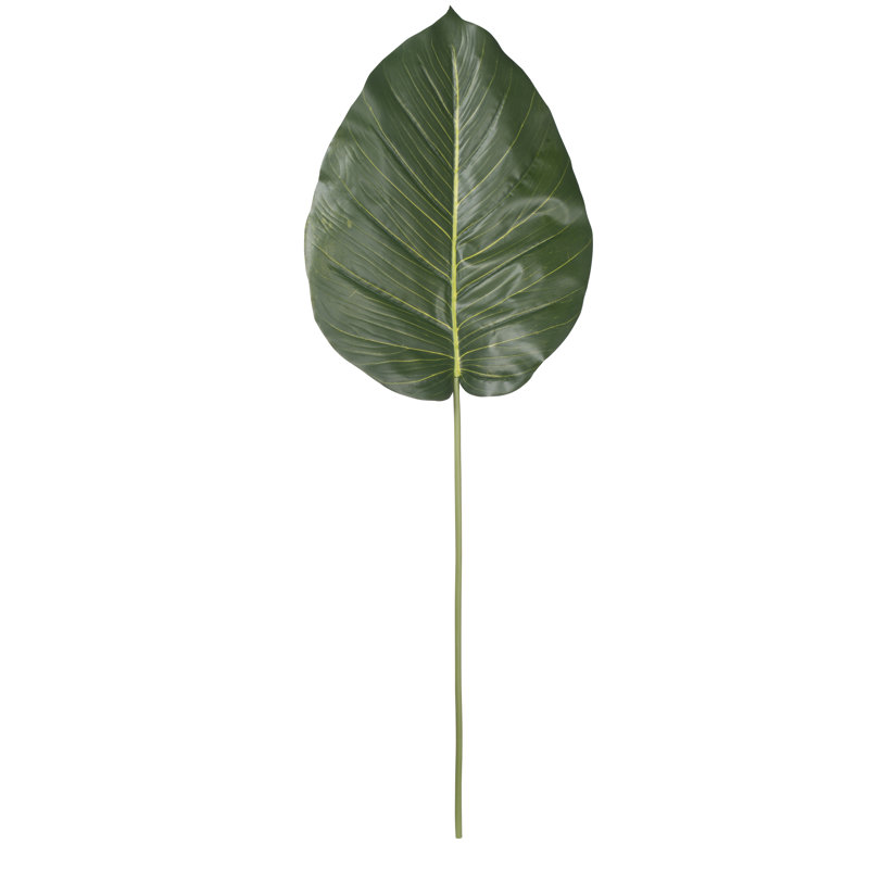 Fausse tige de scindapsus