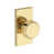 Unlacquered Brass