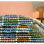 Polka Cotton Block Print [EU ONLY] Duvet Cover Set with Pillowcases Included