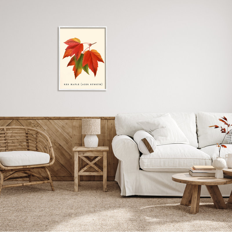 Feuillage d'automne antique avec feuille d'érable rouge par Daphne Polselli - impression, H 30 po x l 24 po