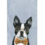 1 Piece Wrapped Canvas Painting-36811545