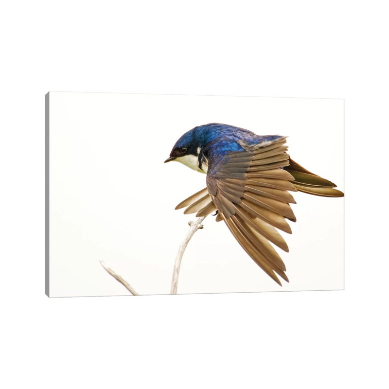 George Reifel Migratory Bird Sanctuary, Bc, Canada by Janet Horton - Wrapped Canvas Gallery-Wrapped Canvas Giclée