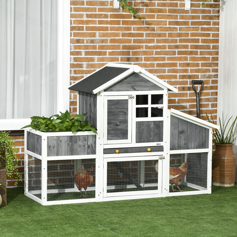 Poulailler Dazmond 11,4 pieds carrés