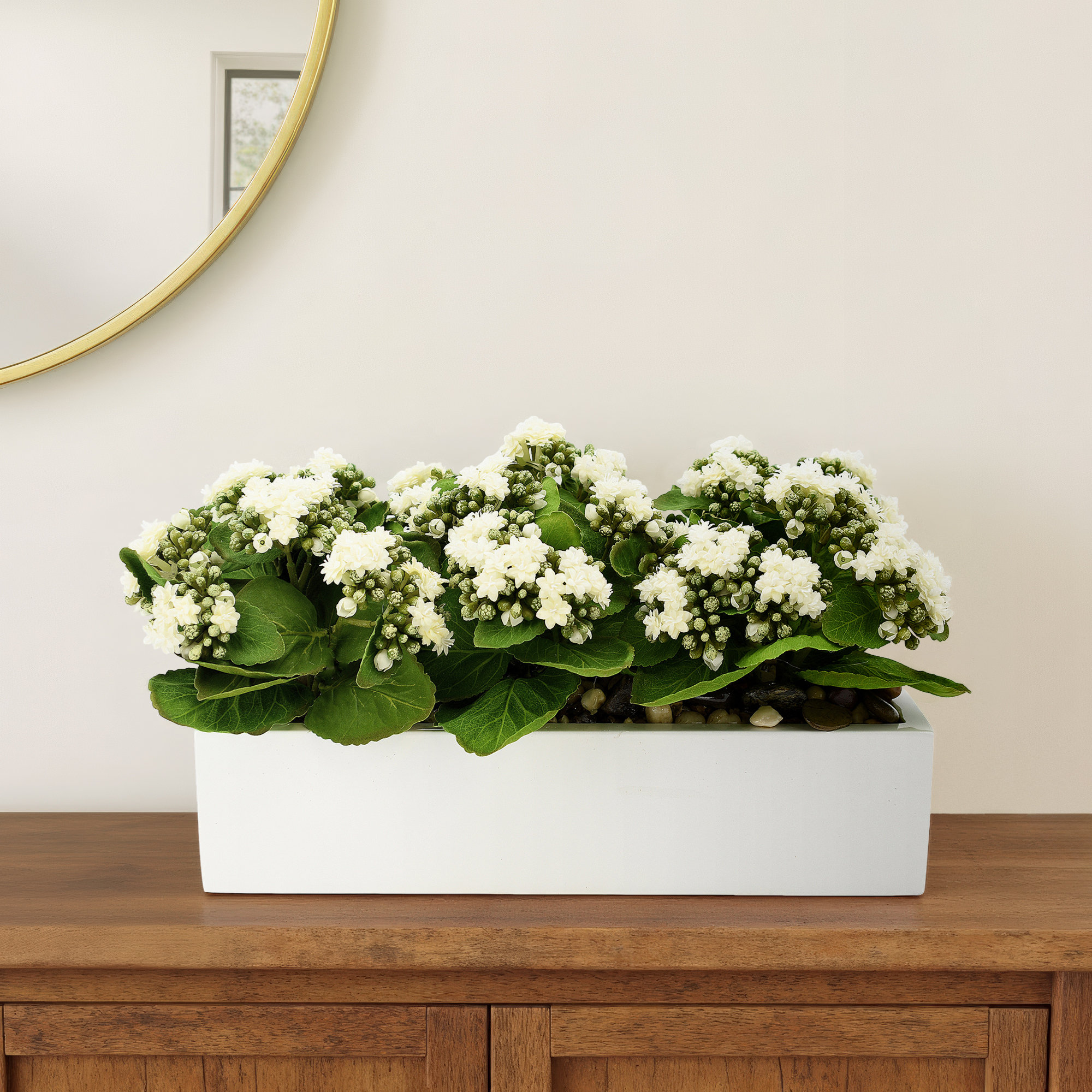 Kalanchoe Arrangement in Fiberstone Planter, 9.5" H x 18" W x 9.5" D, White