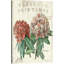 Fleur de printemps, impression sur toile-74280959-74280958-74280960