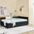 Velvet Black Full Size Upholstered Bed With Trundle, Comfortable Back And , Vertical Stripe On , Suitable For Bedroom Office, Easy Assembly, Strong Eucalyptus Wood Frame Daybed In Pattern A Cute