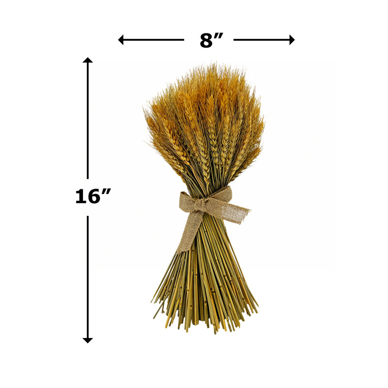 Plante topiaire de blé conservée