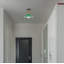 Semi Flush Mount-1980428032