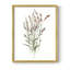 Reproduction encadrée «Dicat Botanical II» - bois massif-1062437942