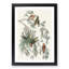 American Crossbill Birds by John Audubon - Single Picture Frame Painting-55545153-55545156