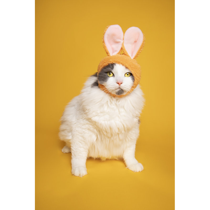 Bunny Rabbit par Sdominick, H 12 po x l 8 po