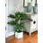 Ridgewood 3.25’ Faux Philodendron Plant