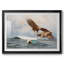 Aigles de mer (Havsornar) - Brun Lilofors - reproduction encadrée avec passe-partout et verre - 1897-943655656-943655658-943655659
