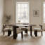 Olly Chair - Boxed Set Of 2